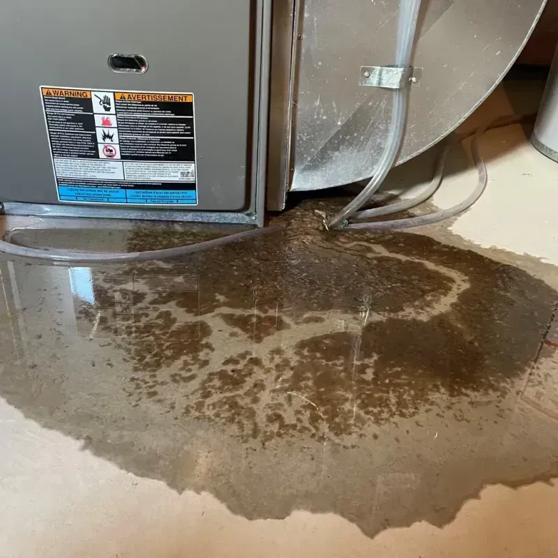 Appliance Leak Cleanup in De Soto Parish, LA